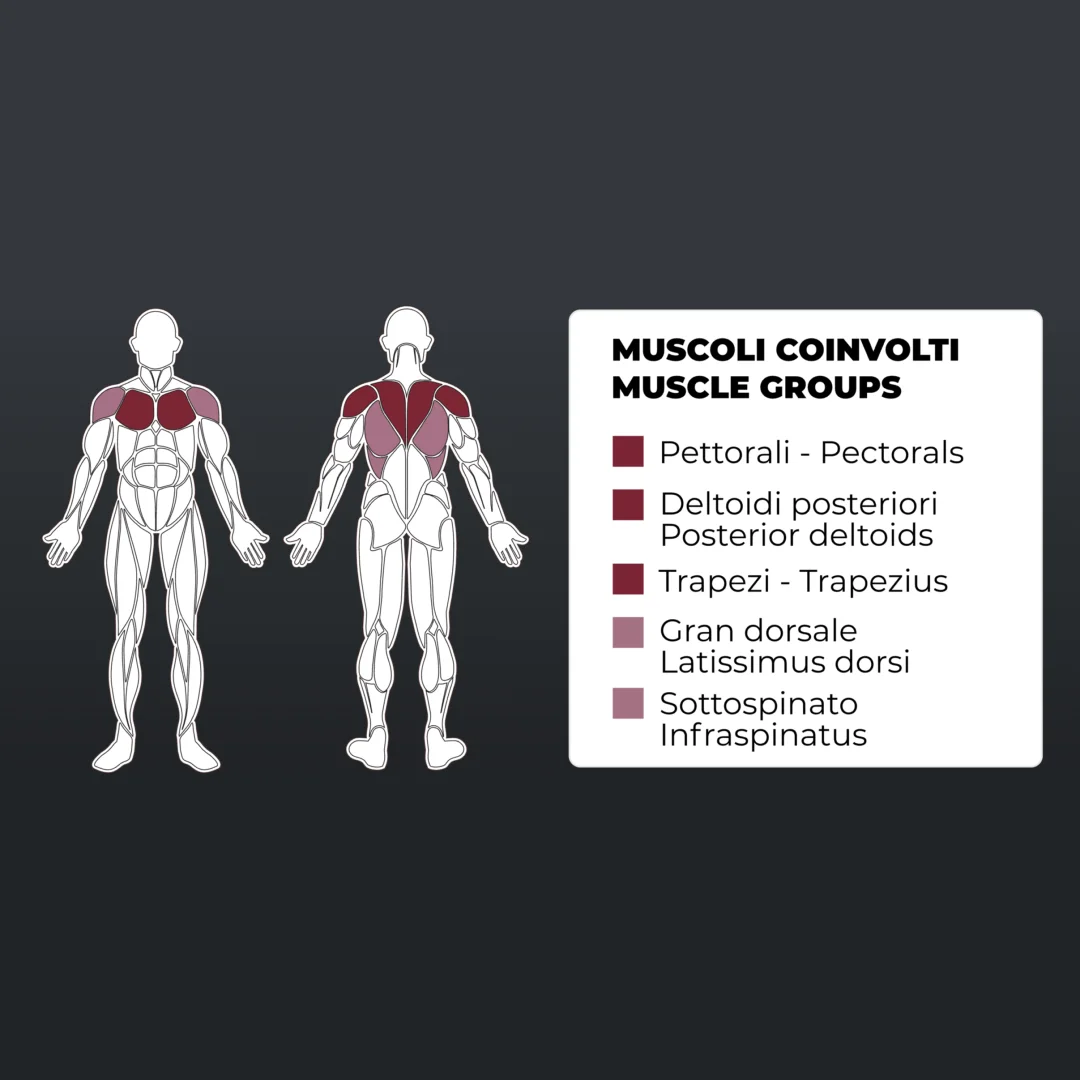 toorx-plx-5000-pec-fly-rear-deltoid-m1
