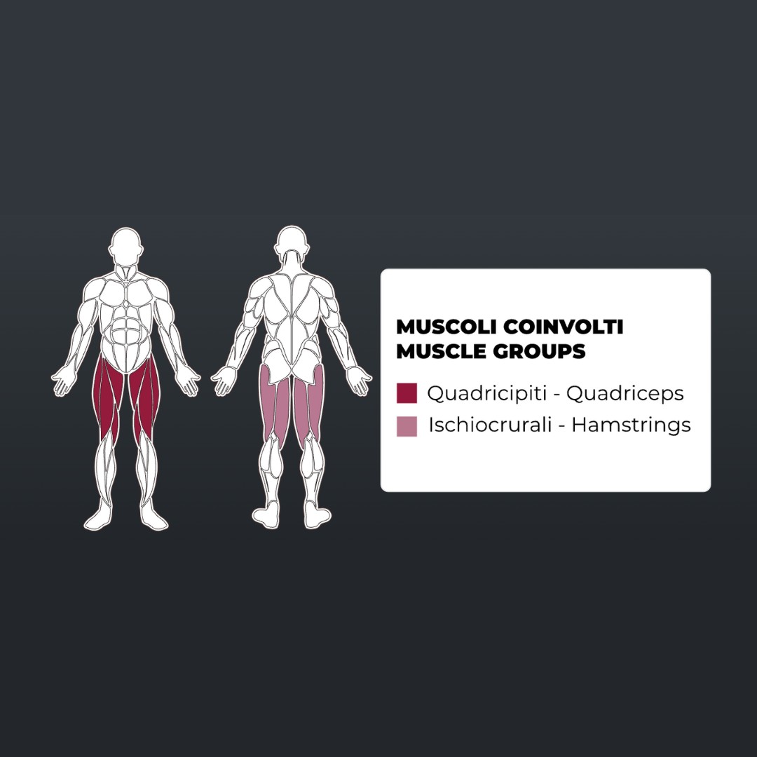 Toorx-WBX-4000-Linear-Leg-Press-–-Plate-Loaded-pol-profesionalna-fitnes-naprava-za-linearni-potisk-z-nogami-5-1