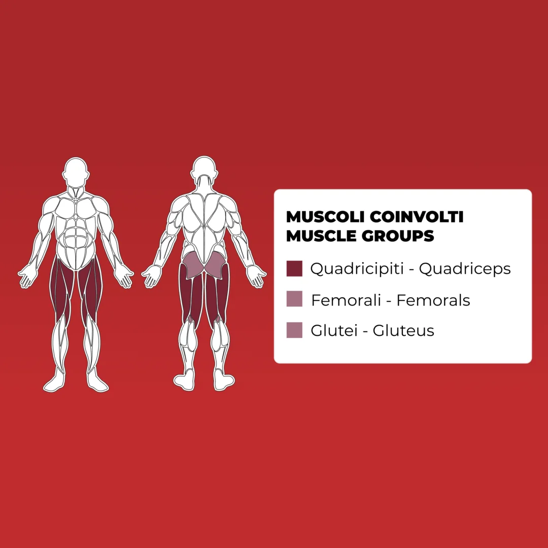 toorx_fwx_7530_seated_leg_curl_leg_extension_m1