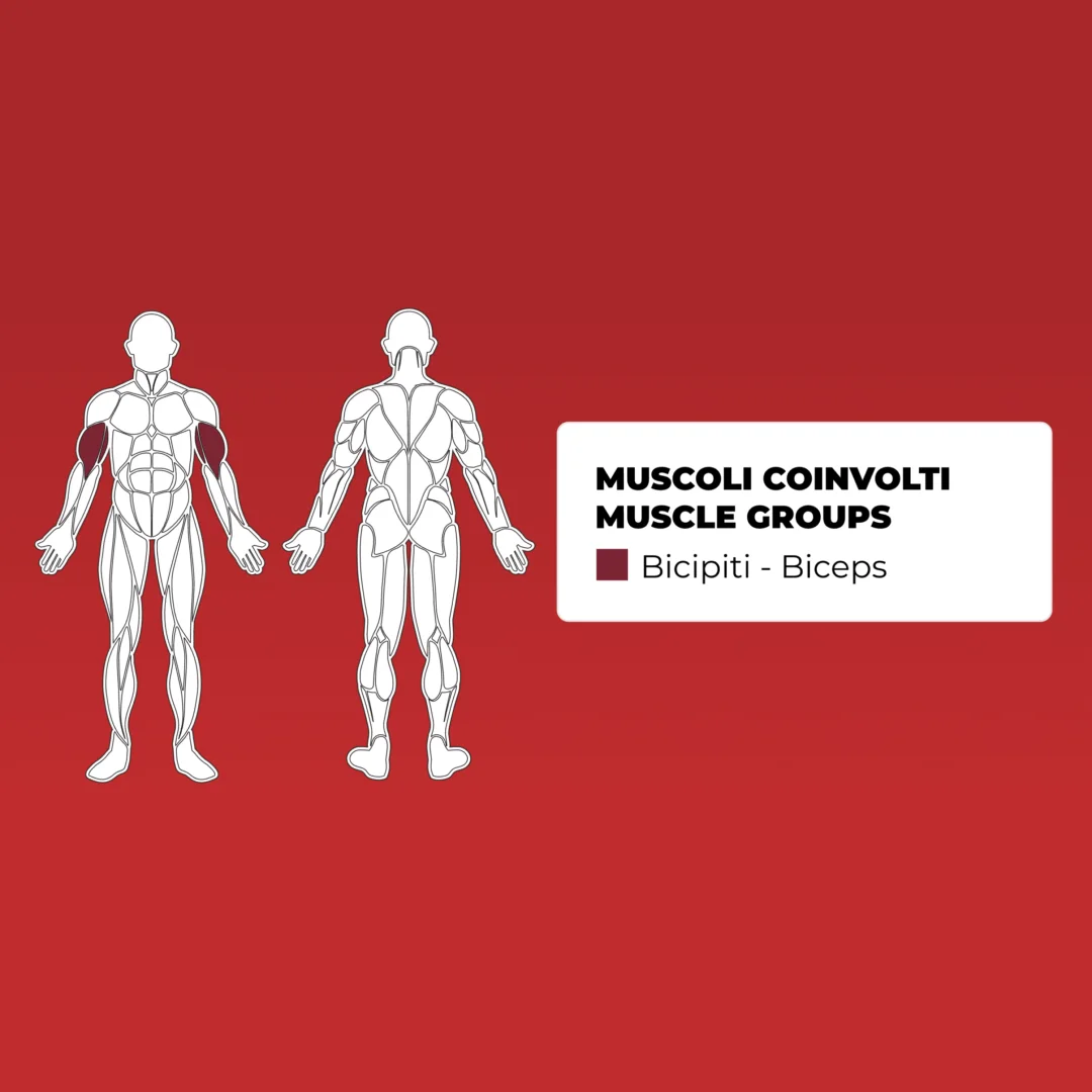 toorx_plx_7830_biceps_curl_m1