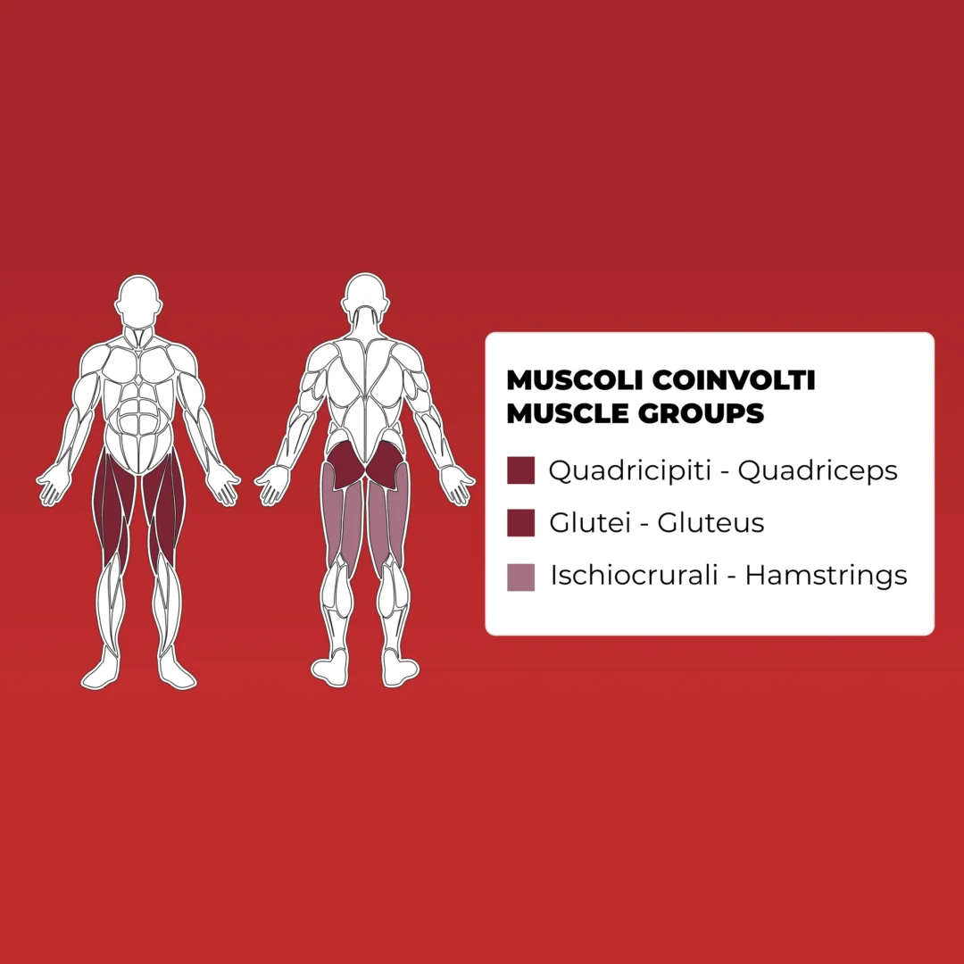 toorx_plx_9130_horizontal_leg_press_hack_squat_m1