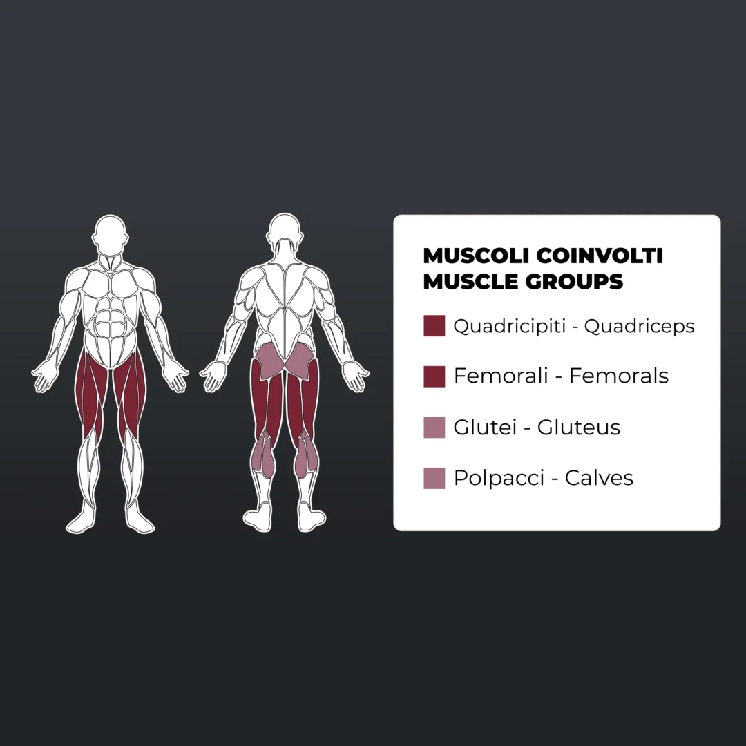 toorx-plx-5550-leg-extension-prone-leg-curl-m1