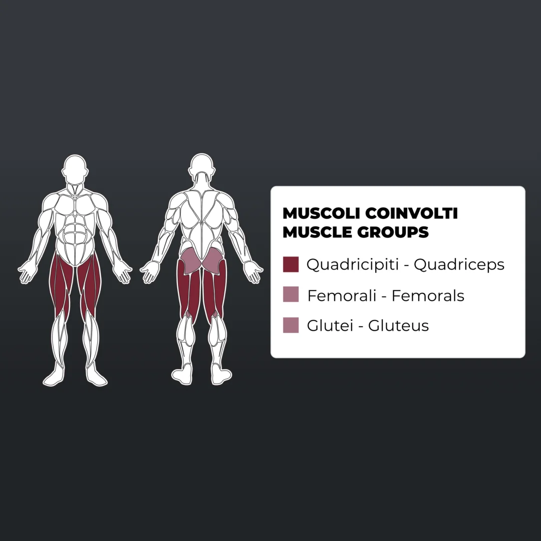 toorx-plx-5650-leg-extension-seated-leg-curl-m1