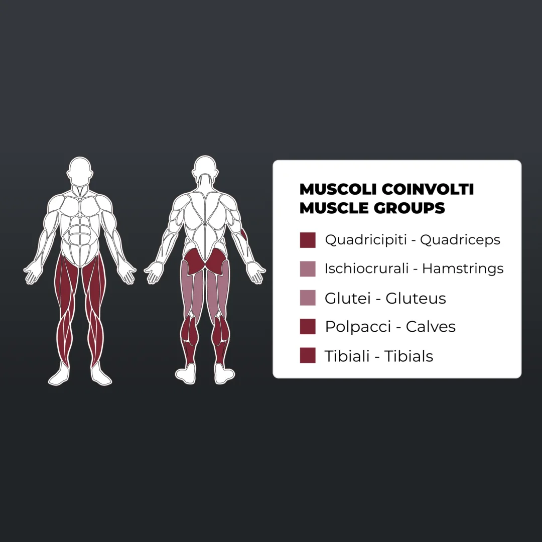 toorx-plx-5850-leg-press-calf-m1